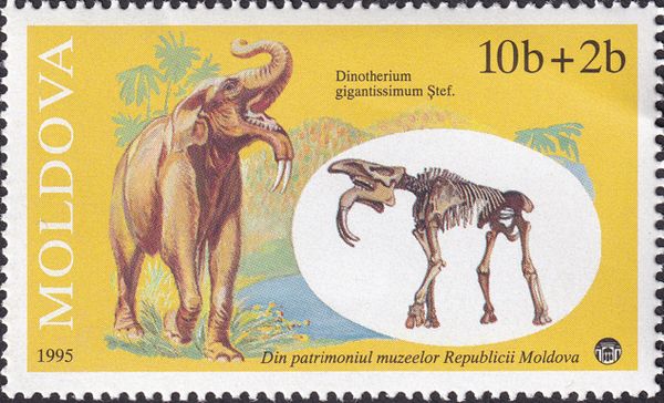 Representation and Skeleton of Deinotherium gigantissimum