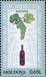 Sauvignon