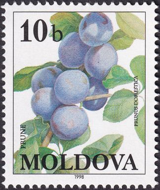 Plums (Prunus domestica)