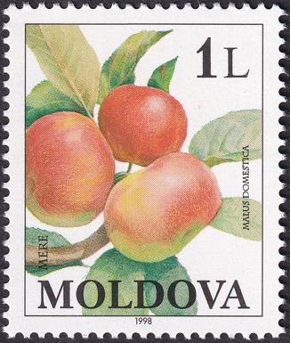 Apples (Malus domestica)