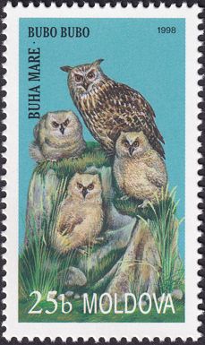 Eurasian Eagle-Owl (Bubo bubo)