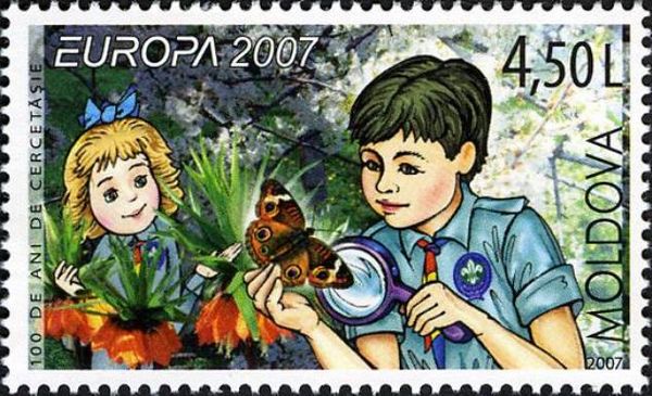Scouts Studying Butterflies