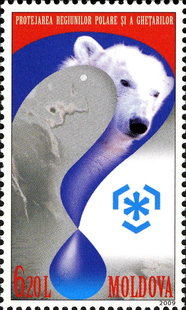 Polar Bear (Ursus maritimus) and Question Mark
