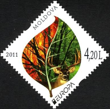 Leaf, Fire, Deer and Forest