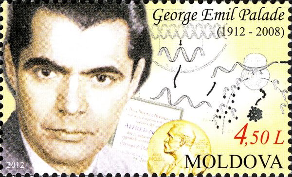 Birth Centenary of George Emil Palade (1912-2008)