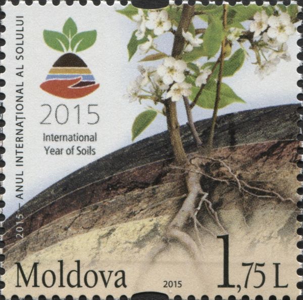 Logo of the International Year of Soils