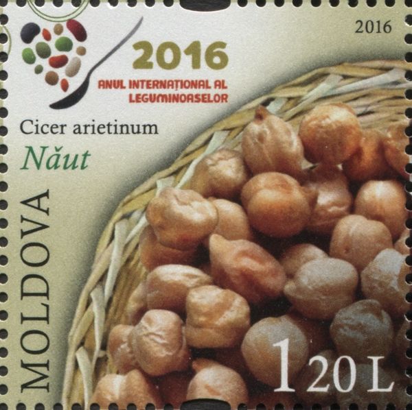 Chickpeas (Cicer arietinum)
