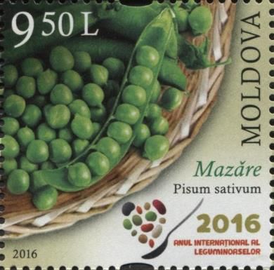 Peas (Pisum sativum)