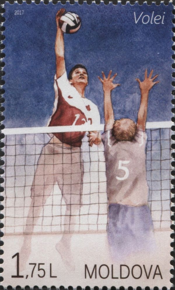 Volleyball