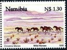 Wild horses