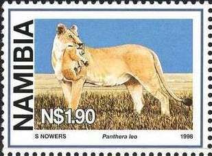 Lion (Panthera leo)