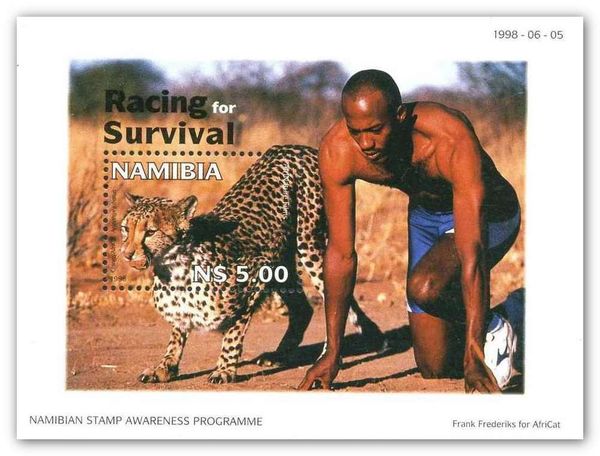 Race between man and cheetah