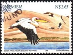 Great White Pelican (Pelecanus onocrotalus)
