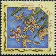 Ansellia africana