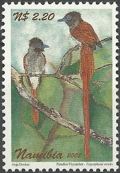 African Paradise Flycatcher (Terpsiphone viridis)