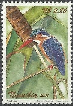 Malachite Kingfisher (Corythornis cristatus)