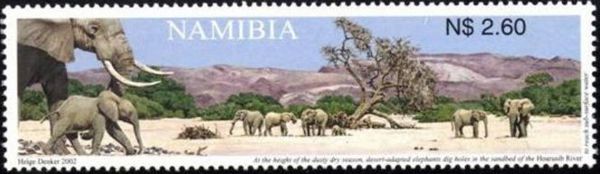 Hoarusib river, African Elephant (Loxodonta africana)