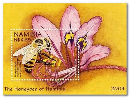 Honey Bees (Apis mellifera scutellata)