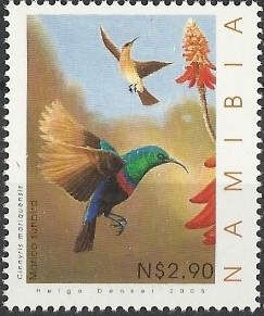 Marico Sunbird (Cinnyris mariquensis)