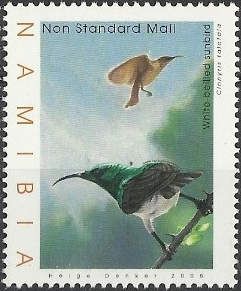 White-bellied Sunbird (Cinnyris talatala)