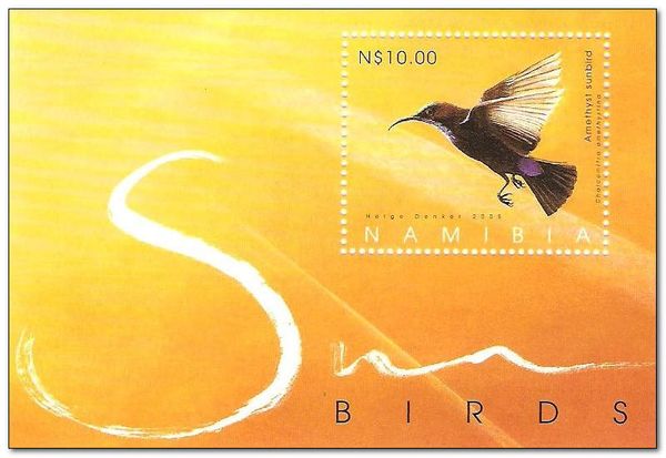 Amethyst Sunbird (Chalcomitra amethystina)