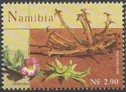 Harpagophytum procumbens