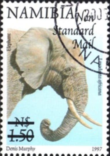 African Elephant (Loxodonta africana), surcharge