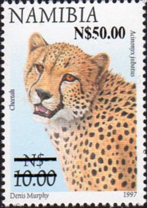 Cheetah (Acinonyx jubatus), surcharge