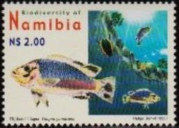 Otjikoto Tilapia (Tilapia guinasana)