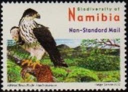 African Hawk-Eagle (Aquila fasciatus) (see Description)