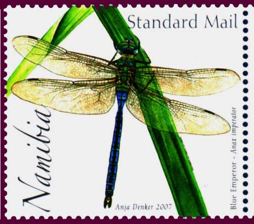 Emperor Dragonfly (Anax imperator)