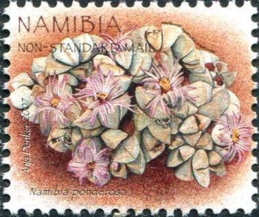 Namibia ponderosa