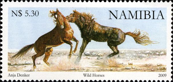 Feral Domestic Horse (Equus ferus caballus)