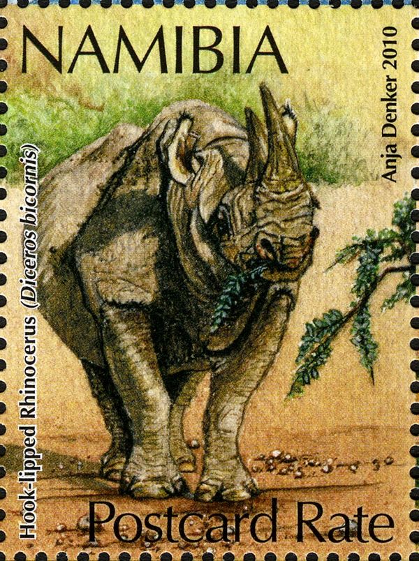 Black Rhinoceros (Diceros bicornis)