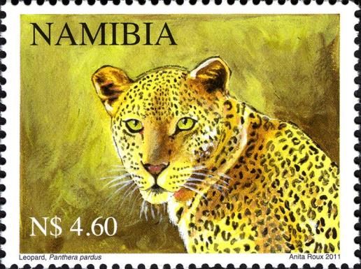 Leopard (Panthera pardus)