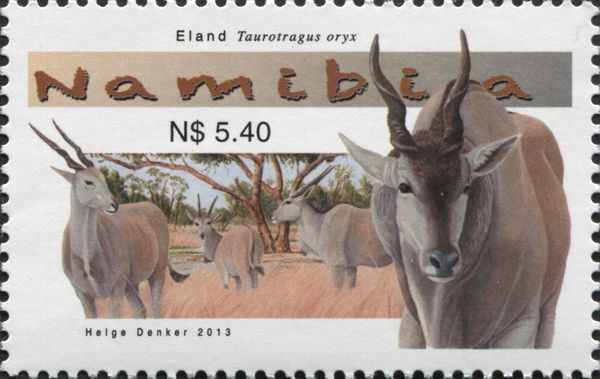 Common Eland (Taurotragus oryx)