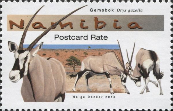 Gemsbok (Oryx gazella)