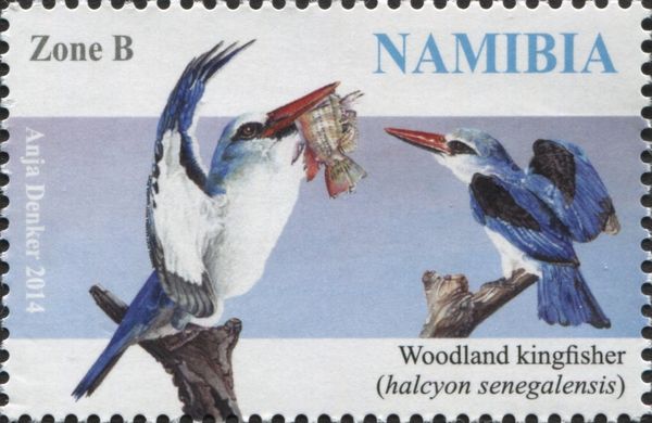 Woodland Kingfisher (Halcyon senegalensis)