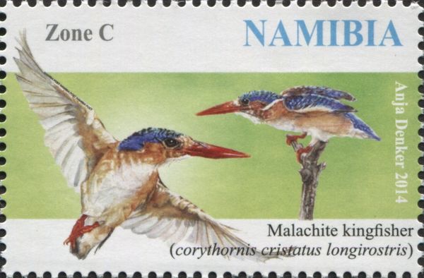 Malachite Kingfisher (Corythornis cristatus)