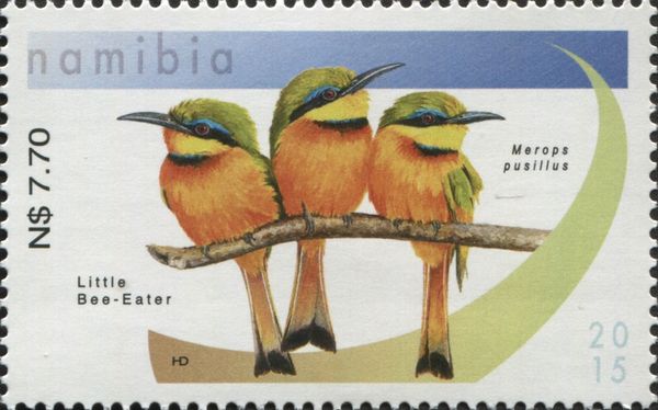Little Bee-eater (Melittophagus pusillus)