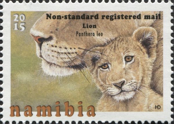 Lion (Panthera leo)