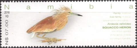 Squacco Heron (Ardeola ralloides)