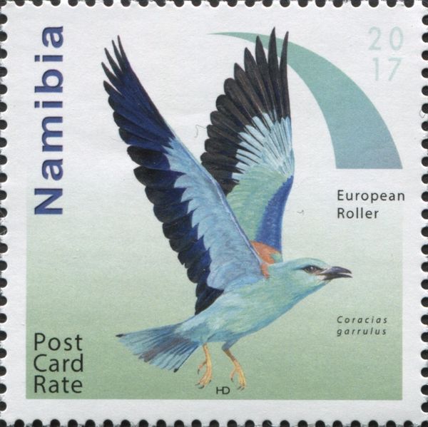 European Roller (Coracias garrulus)