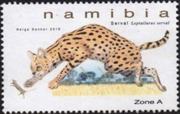 Serval (Leptailurus serval)