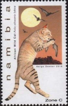African Wild Cat (Felis lybica)