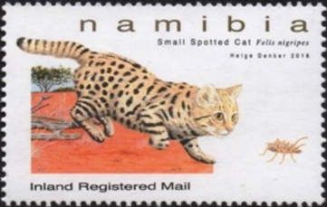 Small Spotted Cat (Felis nigripes)