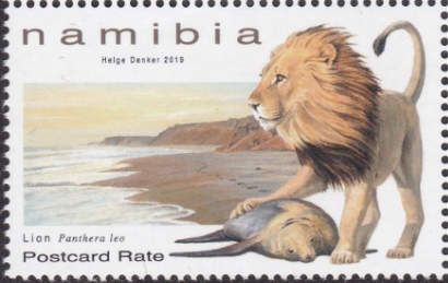 Lion (Panthera leo)