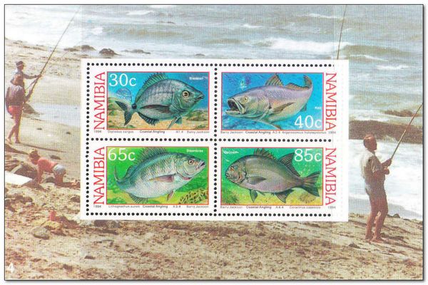 Coastal Angling
