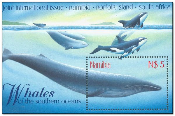 Whales of the Southern Oceans