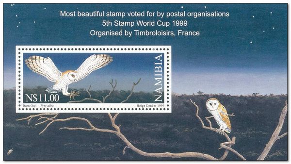 Barn Owl (Tyto alba)